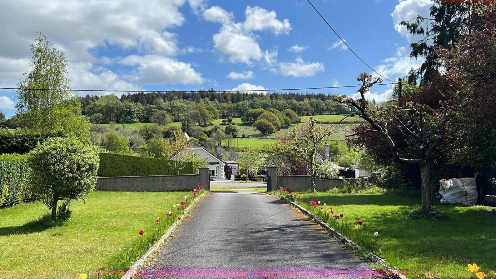 Avonbeg Cottages 2 Bed 1 Bath Accommodate 3 Guests Rathdrum Exterior foto